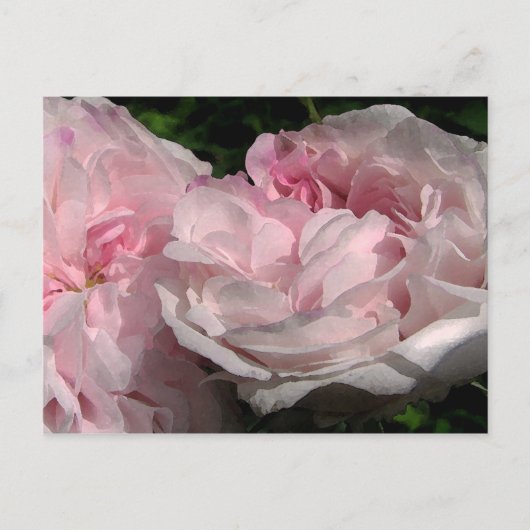 Leda Rose Blume Postkarte (Vorderseite)