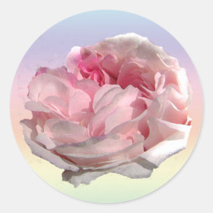 Leda Rose Garden Blume Runder Aufkleber
