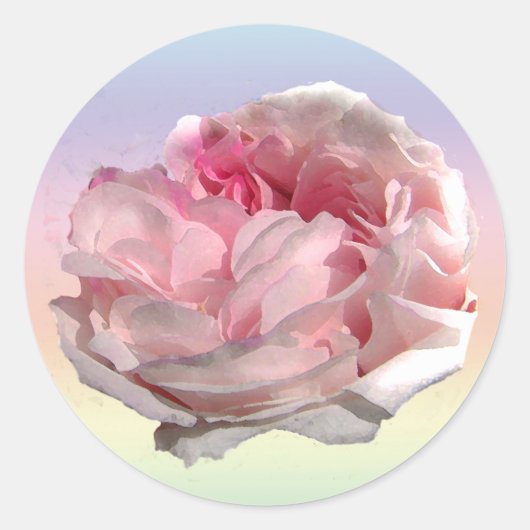 Leda Rose Garden Blume Runder Aufkleber (Vorderseite)