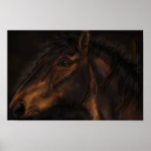 Leder Poster (Vorne)