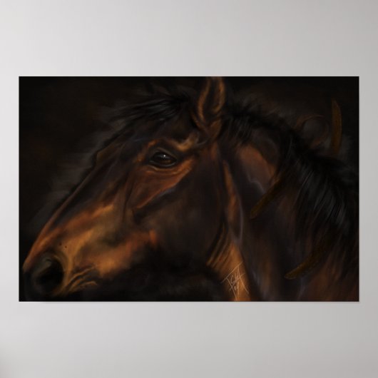 Leder Poster (Vorne)