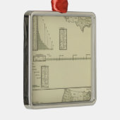 Leder Silbernes Ornament (Rechts)