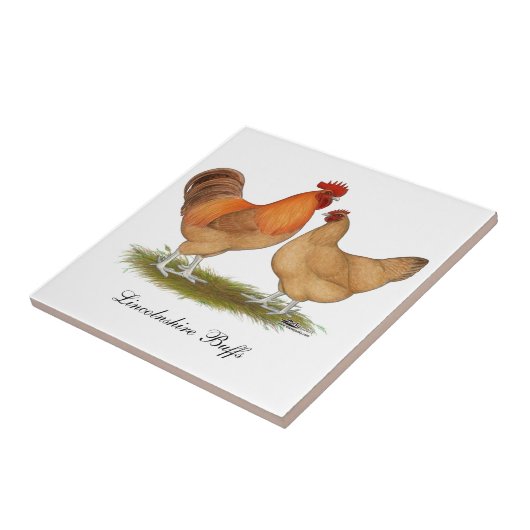 Lederfarbene Hühner Lincolnshires Fliese (Seite)