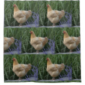 Lederfarbenes Orpington Huhn Duschvorhang (Vorderseite)