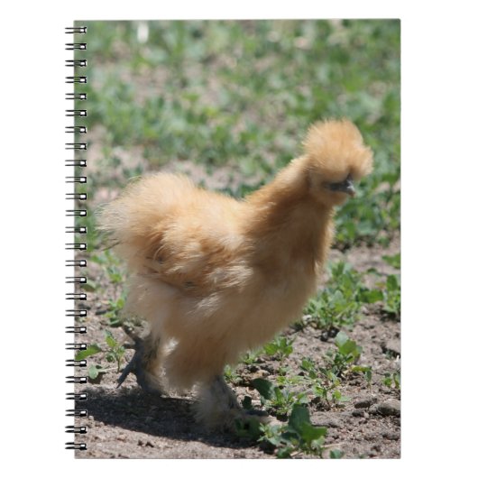 Lederfarbenes Silkie Huhn-Notizbuch Notizblock (Vorderseite)
