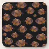 Lederjackenfischschule, Getränkeuntersetzer (Vorderseite)