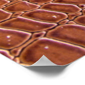 Ledertextur, Hintergrundtextur, Kunst, Hintergrund Poster (Ecke)