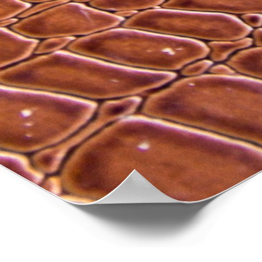 Ledertextur, Hintergrundtextur, Kunst, Hintergrund Poster (Ecke)