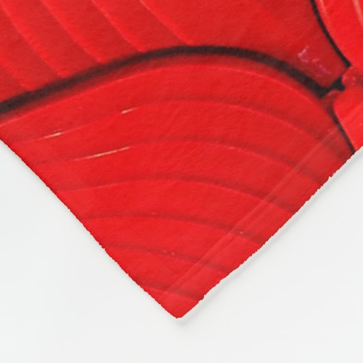 Ledertextur mit rotem Sofa Fleecedecke (Ecke)