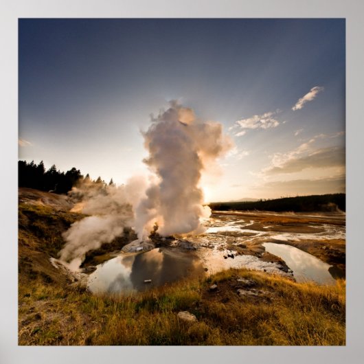 Ledge Geyser, Norris Geyser-Becken Poster (Vorne)