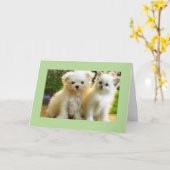 LEDIGLICH* FÜR IHREN GEBURTSTAG KARTE (Gelbe Blume)