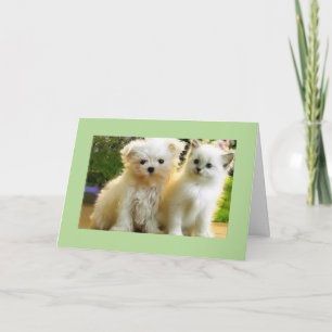 LEDIGLICH* FÜR IHREN GEBURTSTAG KARTE