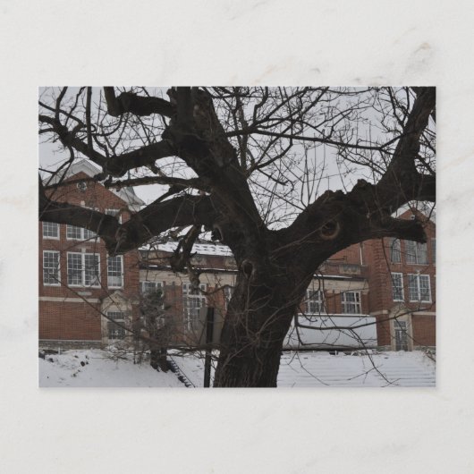 Lee High Postkarte (Vorderseite)