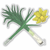 Leek und Daffodil Crossed Aufkleber (Vorderseite)
