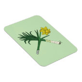 Leek und Daffodil Crossed Magnet (Rechte Seite)
