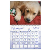 Leeloo & Winston Large 2 Page Calendar Kalender (Feb 2026)