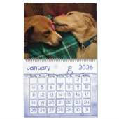 Leeloo & Winston Large 2 Page Calendar Kalender (Jan 2026)