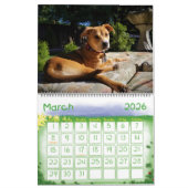 Leeloo & Winston Large 2 Page Calendar Kalender (Mär 2026)
