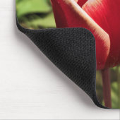 Leen Van Der Mark Tulip, Oregon Mousepad (Ecke)