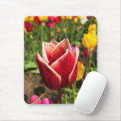 Leen Van Der Mark Tulip, Oregon Mousepad (Mit Mouse)