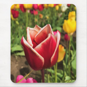 Leen Van Der Mark Tulip, Oregon Mousepad