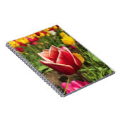Leen Van Der Mark Tulip, Oregon Notizblock (Rechte Seite)