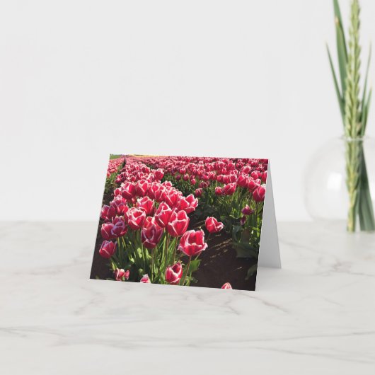 Leen Van Der Mark Tulips, Oregon Karte (Vorderseite)