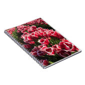 Leen Van Der Mark Tulips, Oregon Notizblock (Rechte Seite)