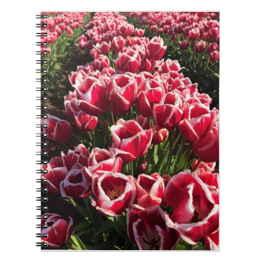 Leen Van Der Mark Tulips, Oregon Notizblock (Vorderseite)