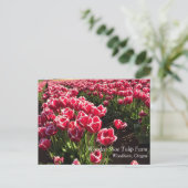 Leen Van Der Mark Tulips, Oregon Postkarte (Stehend Vorderseite)
