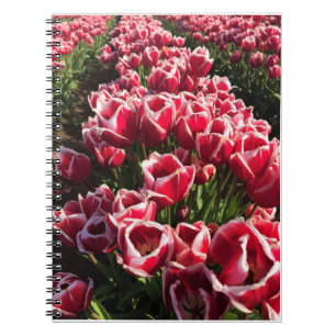Leen Van Der Mark Tulpen, Oregon Notizblock