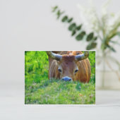 leer postkarte (Stehend Vorderseite)