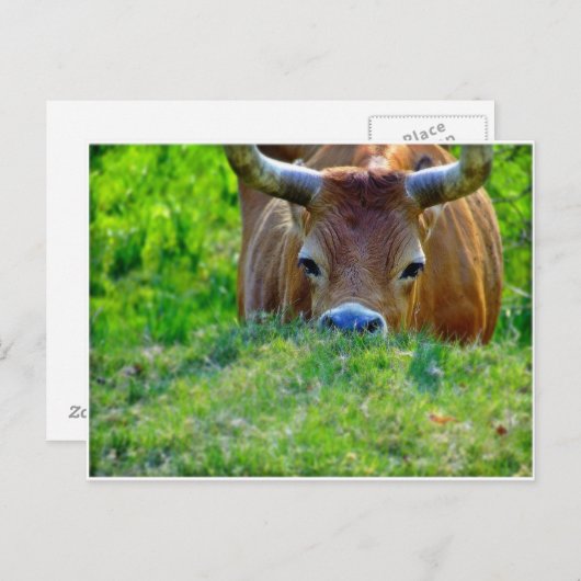 leer postkarte (Vorne/Hinten)