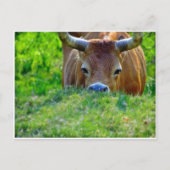 leer postkarte (Vorderseite)