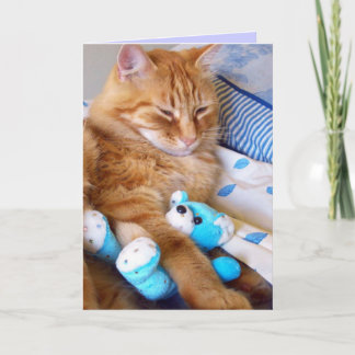 Leere Cat Cards Karte