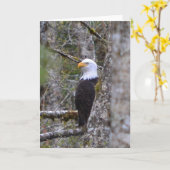 Leere Foto-Gruß-Karte Karte (Gelbe Blume)