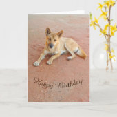 Leere Geburtstagskarte - Dingo Karte (Gelbe Blume)