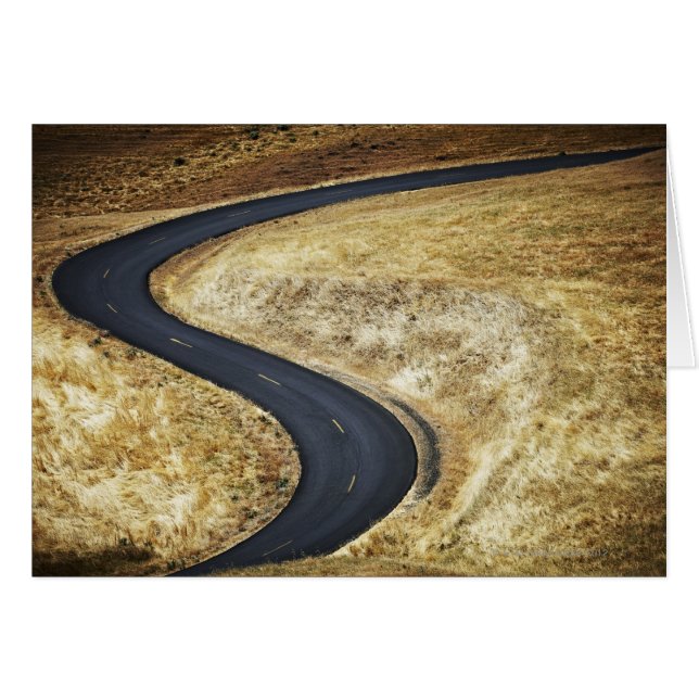 Leere gewundene gepflasterte Straße (Vorderseite (Horizontal))