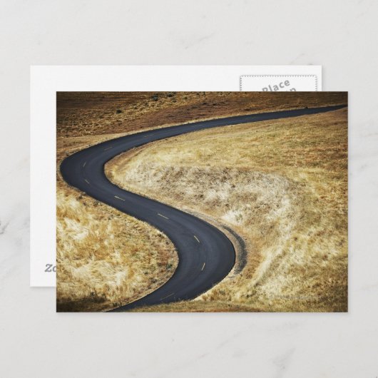 Leere gewundene gepflasterte Straße Postkarte (Vorne/Hinten)