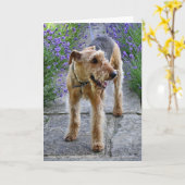 Leere Gruß-Karte Airedales Terrier Karte (Gelbe Blume)