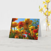 Leere Gruß-Karte der Tulpe-8 Karte (Gelbe Blume)