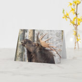 Leere Gruß-Karte: Elch-König Karte (Gelbe Blume)