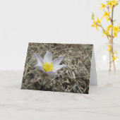 Leere Gruß-Karte Karte (Gelbe Blume)