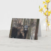 Leere Gruß-Karte: Lachende Elche Karte (Gelbe Blume)