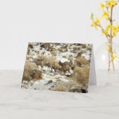 Leere Gruß-Karte mit großem gehörntem Schaf-Foto Karte (Gelbe Blume)