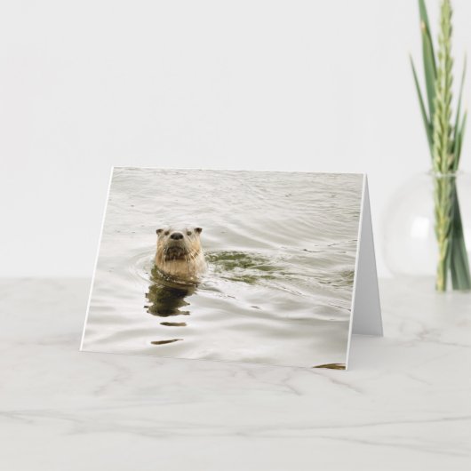 Leere Gruß-Karte mit Otter-Foto Karte (Vorderseite)