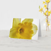Leere Grußkarte der Narzisse Karte (Gelbe Blume)