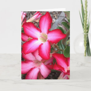 Leere Grußkarte Karte