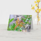 Leere Grußkarte mit dem Dragonfly-Foto Karte (Gelbe Blume)