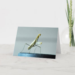 Leere Grußkarte mit Foto des betenden Mantis Karte